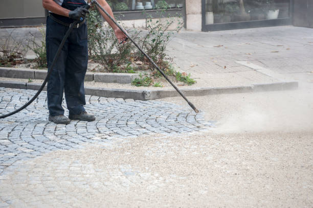 Best Animal Enclosure Cleaning  in Elysburg, PA